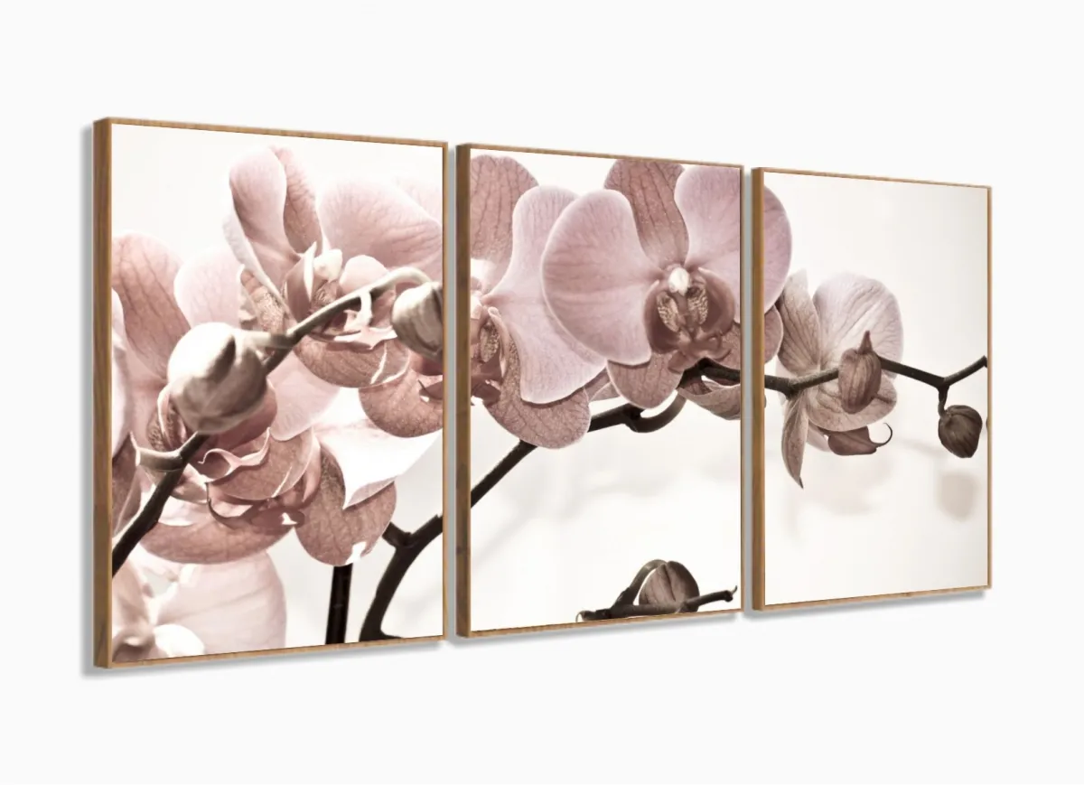 Quadro Flores Orquídeas Para Sala Recepção Tecido 120x60 em tecido 3 peças com moldura filete Imagem