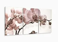 Quadro Flores Orquídeas Para Sala Recepção Tecido 120x60 em tecido 3 peças com moldura filete - Foto 5