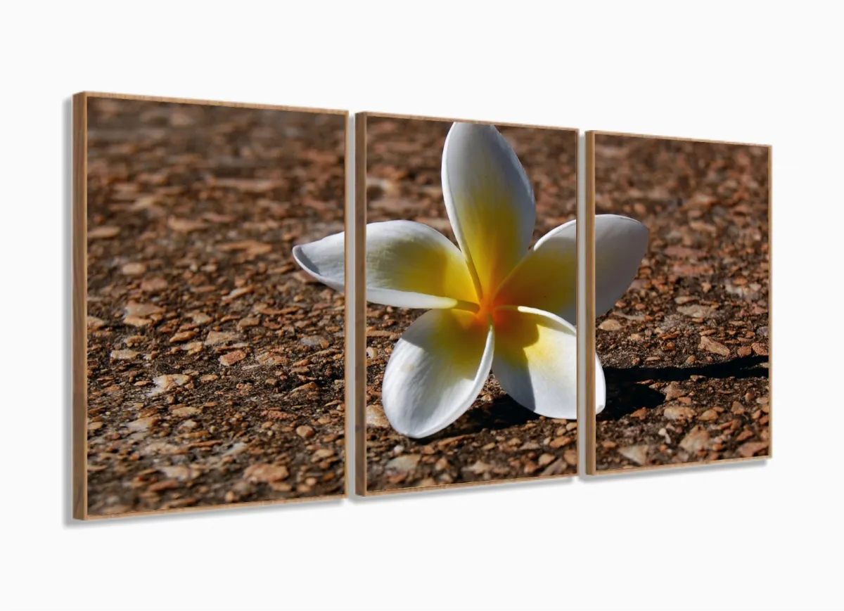 Quadro Flores Paisagem Decorativo Com Tela Em Tecido 120x60 3 peças com moldura filete Imagem