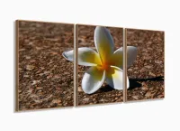 Quadro Flores Paisagem Decorativo Com Tela Em Tecido 120x60 3 peças com moldura filete