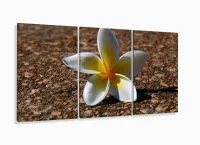 Quadro Flores Paisagem Decorativo Com Tela Em Tecido 120x60 3 peças com moldura filete - Foto 5