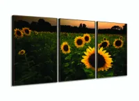 Quadro Mosaico Flores Girassol 120x60 3 peças sala quarto com moldura filete - Foto 2