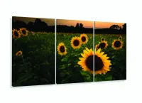 Quadro Mosaico Flores Girassol 120x60 3 peças sala quarto com moldura filete - Foto 5