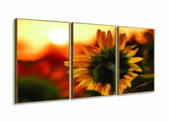 Quadro Paisagem Flor Girassol E Pôr Do Sol Natureza Conjunto 120x60 3 peças