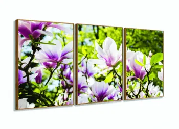 Quadro Planta Flor Magnólia Natureza Artístico Mosaico 3 peças com moldura filete
