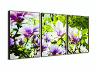 Quadro Planta Flor Magnólia Natureza Artístico Mosaico 3 peças com moldura filete - Foto 2