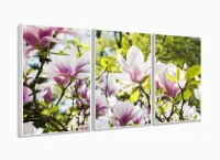 Quadro Planta Flor Magnólia Natureza Artístico Mosaico 3 peças com moldura filete - Foto 4