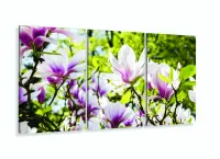 Quadro Planta Flor Magnólia Natureza Artístico Mosaico 3 peças com moldura filete - Foto 5