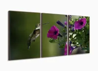 Quadros Decorativos Beija Flor 120x60 em Tecido com moldura filete - Foto 2