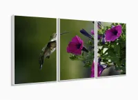 Quadros Decorativos Beija Flor 120x60 em Tecido com moldura filete - Foto 4