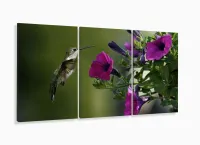 Quadros Decorativos Beija Flor 120x60 em Tecido com moldura filete - Foto 5
