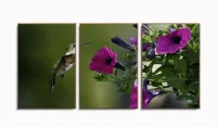Quadros Decorativos Beija Flor 120x60 em Tecido com moldura filete - Foto 6