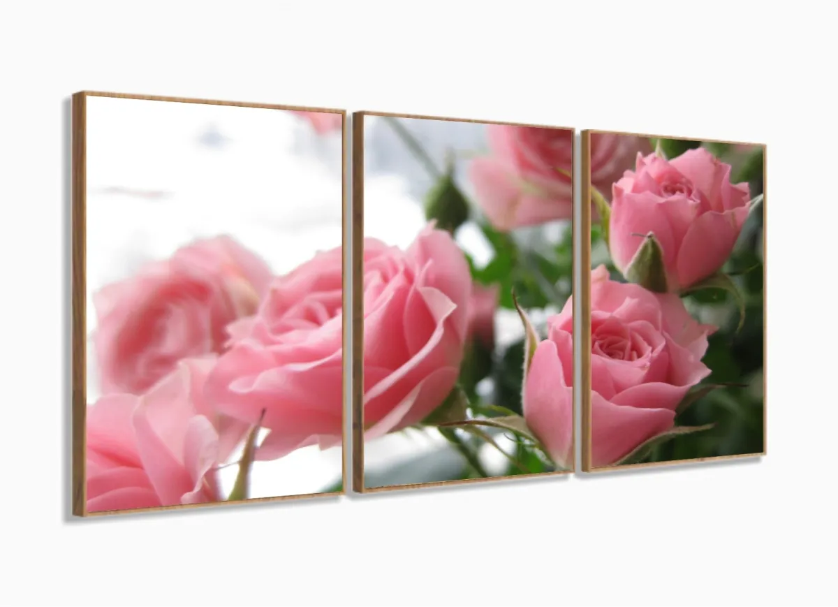Quadros Decorativos Flores Rosas120x60 3 peças com moldura filete Imagem