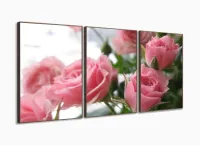 Quadros Decorativos Flores Rosas120x60 3 peças com moldura filete - Foto 2