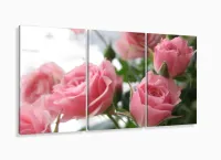 Quadros Decorativos Flores Rosas120x60 3 peças com moldura filete - Foto 5