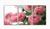 Quadros Decorativos Flores Rosas120x60 3 peças com moldura filete - Foto 6