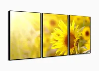 Quadros Decorativos Girassol Hd Quarto Sala Kit 120x60 3 peças com moldura filete - Foto 3