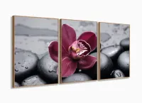 Quadros Decorativos Orquidea Flor Botanico Sala Copa 120x60 3 peças com moldura filete