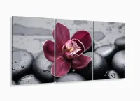 Quadros Decorativos Orquidea Flor Botanico Sala Copa 120x60 3 peças com moldura filete - Foto 5