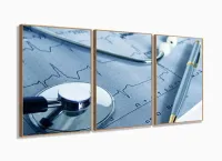 Quadro Decorativo Doutor Medico 120x60 3 peças com moldura filete