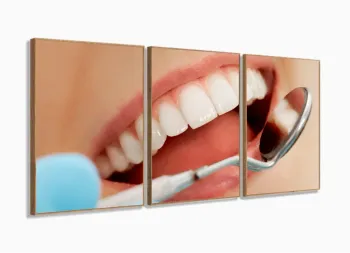 Quadro Em Tecido Odontologia Decorativo Sorriso Espelho 3 peças com moldura filete