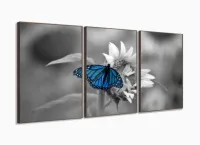 Quadro Decorativo 120x60 Sala Quarto Borboleta com moldura filete - Foto 2
