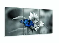 Quadro Decorativo 120x60 Sala Quarto Borboleta com moldura filete - Foto 5