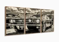 Quadro Decorativo Carro Retro 3 partes 120x60 em tecido com moldura filete