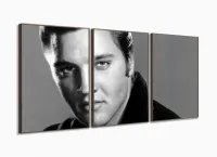 Quadro Decorativo Elvis Presley - Retrô - Tela em Tecido com moldura filete - Foto 2