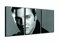 Quadro Decorativo Elvis Presley - Retrô - Tela em Tecido com moldura filete - Foto 3