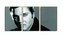 Quadro Decorativo Elvis Presley - Retrô - Tela em Tecido com moldura filete - Foto 6