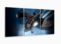 Quadro Decorativo Filme Como Treinar O Seu Dragao2 3 Peças com moldura filete - Foto 5