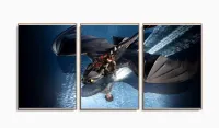 Quadro Decorativo Filme Como Treinar O Seu Dragao2 3 Peças com moldura filete - Foto 6