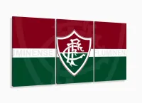 Quadro decorativo Fluminense com Tela em Tecido com moldura filete - Foto 5