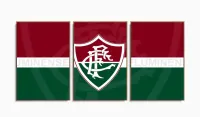 Quadro decorativo Fluminense com Tela em Tecido com moldura filete - Foto 6