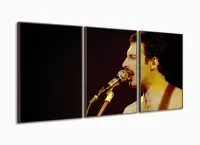 Quadro Decorativo Fred Mercury Queen Em Tecido 3 Peças com moldura filete - Foto 2
