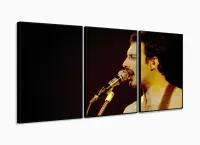 Quadro Decorativo Fred Mercury Queen Em Tecido 3 Peças com moldura filete - Foto 3