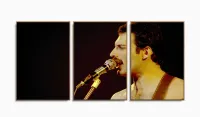 Quadro Decorativo Fred Mercury Queen Em Tecido 3 Peças com moldura filete - Foto 6