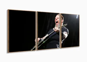 Quadro Decorativo James Hetfield Metallica Em Tecido 3 peças com moldura filete