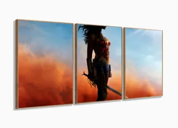 Quadro Decorativo Mulher Maravilha 3 peças 120x60 cm em tecido com moldura filete
