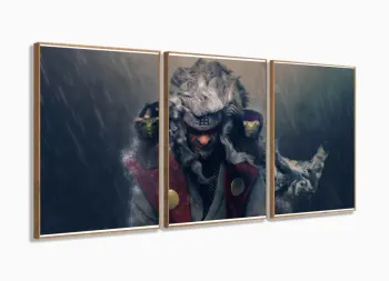 Quadro Decorativo Naruto - Jiraya Sensei - Tela Em Tecido com moldura filete