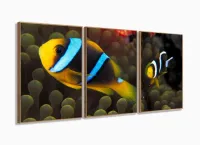 Quadro Decorativo Peixe Palhaço 120x60 com moldura filete