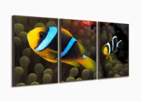 Quadro Decorativo Peixe Palhaço 120x60 com moldura filete - Foto 2