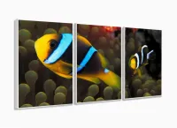 Quadro Decorativo Peixe Palhaço 120x60 com moldura filete - Foto 4