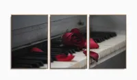 Quadro Decorativo Piano Rosa Vermelha 120x60 Sala Quarto com moldura filete - Foto 6