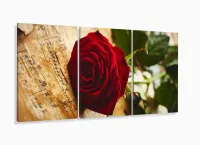 Quadro Decorativo Rosa Vermelha Música 120x60 Sala Quarto com moldura filete - Foto 5