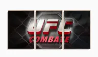 Quadro Decorativo UFC Combate 120x60 em tecido com moldura filete - Foto 6