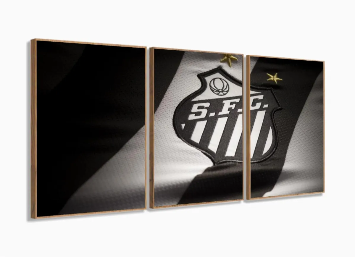 Quadro Decorativo Vasco da Gama 120x60 3 peças com moldura filete Imagem