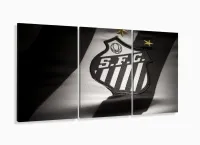 Quadro Decorativo Vasco da Gama 120x60 3 peças com moldura filete - Foto 5