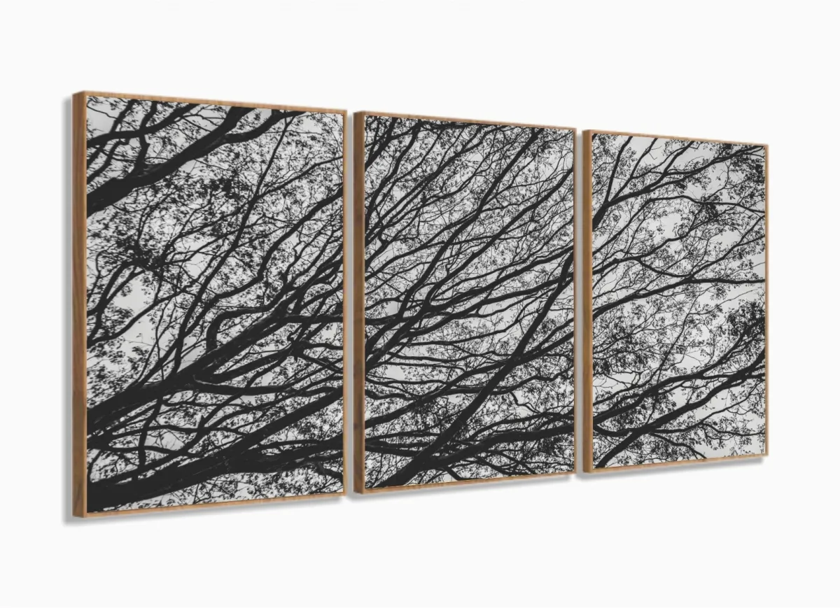Quadro Galhos Secos Caindo em Preto e Branco Jogo 3 Peças com moldura filete Imagem